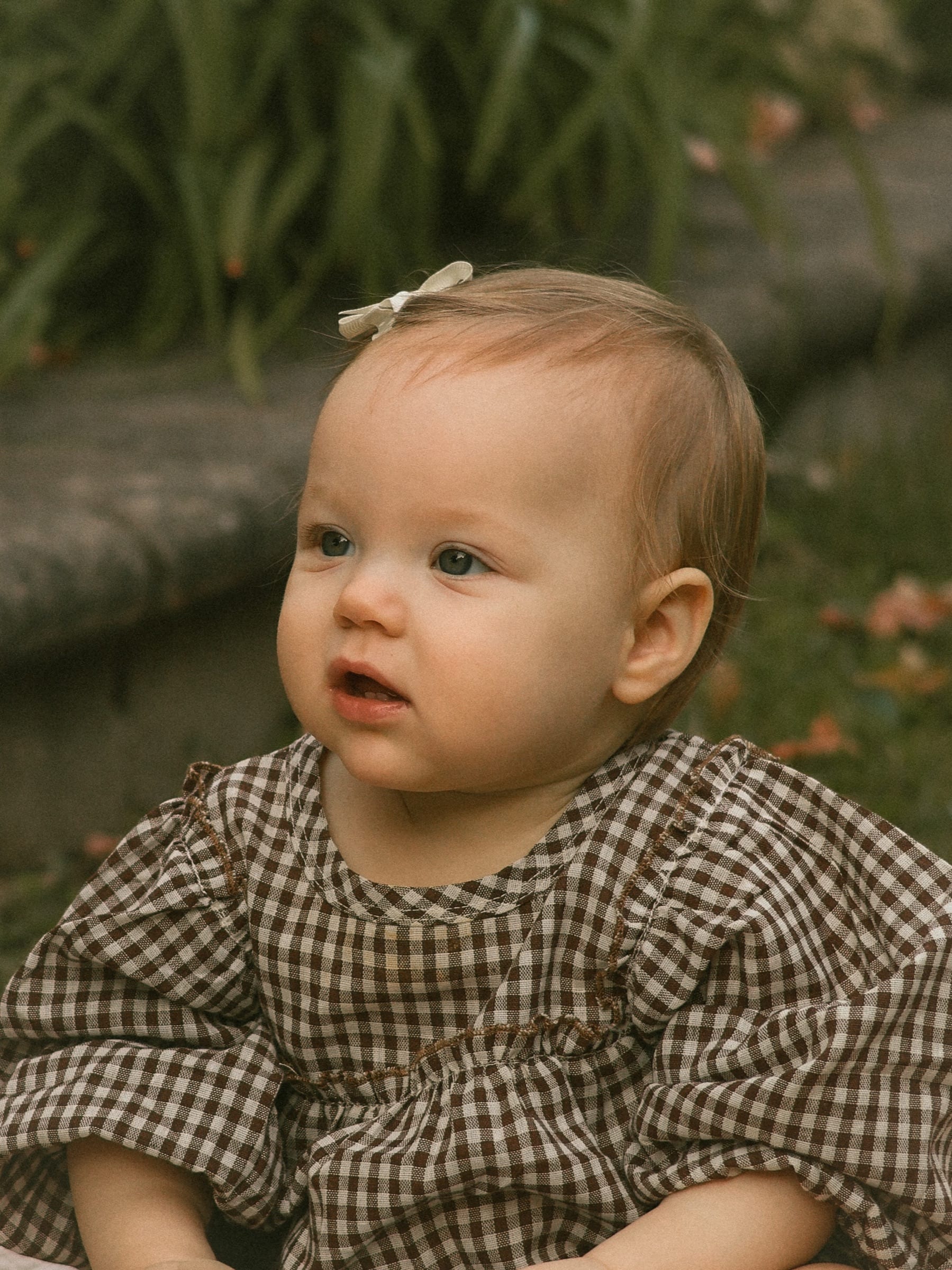 Emma, Fall Mini in Heyworth, IL (photo 8)