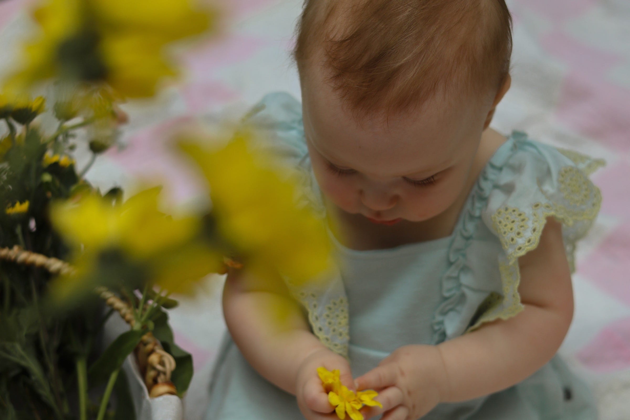 Emma, 9-Month Milestone in Bloomington, IL (photo 14)