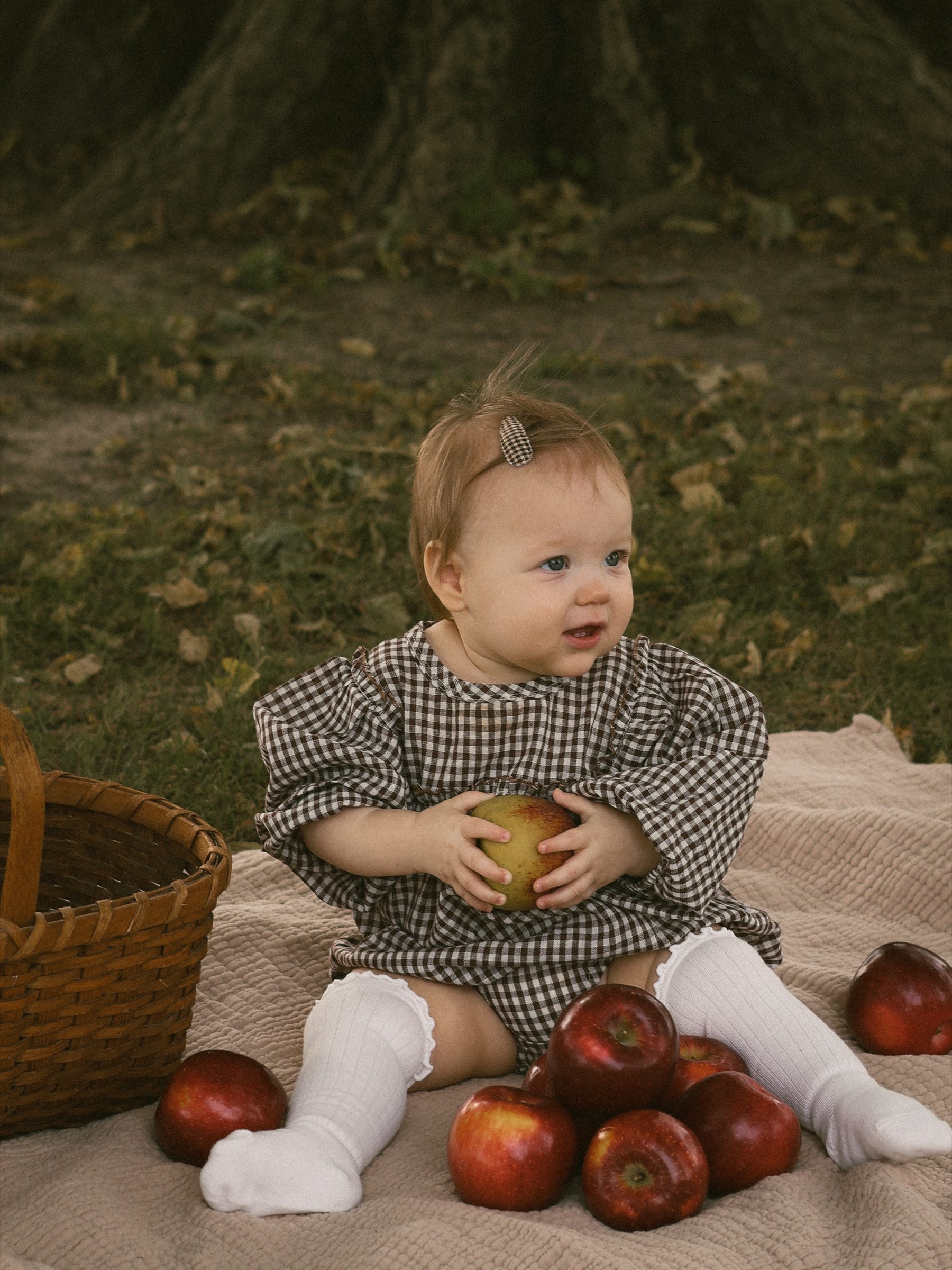 Emma, Fall Mini in Heyworth, IL (photo 9)