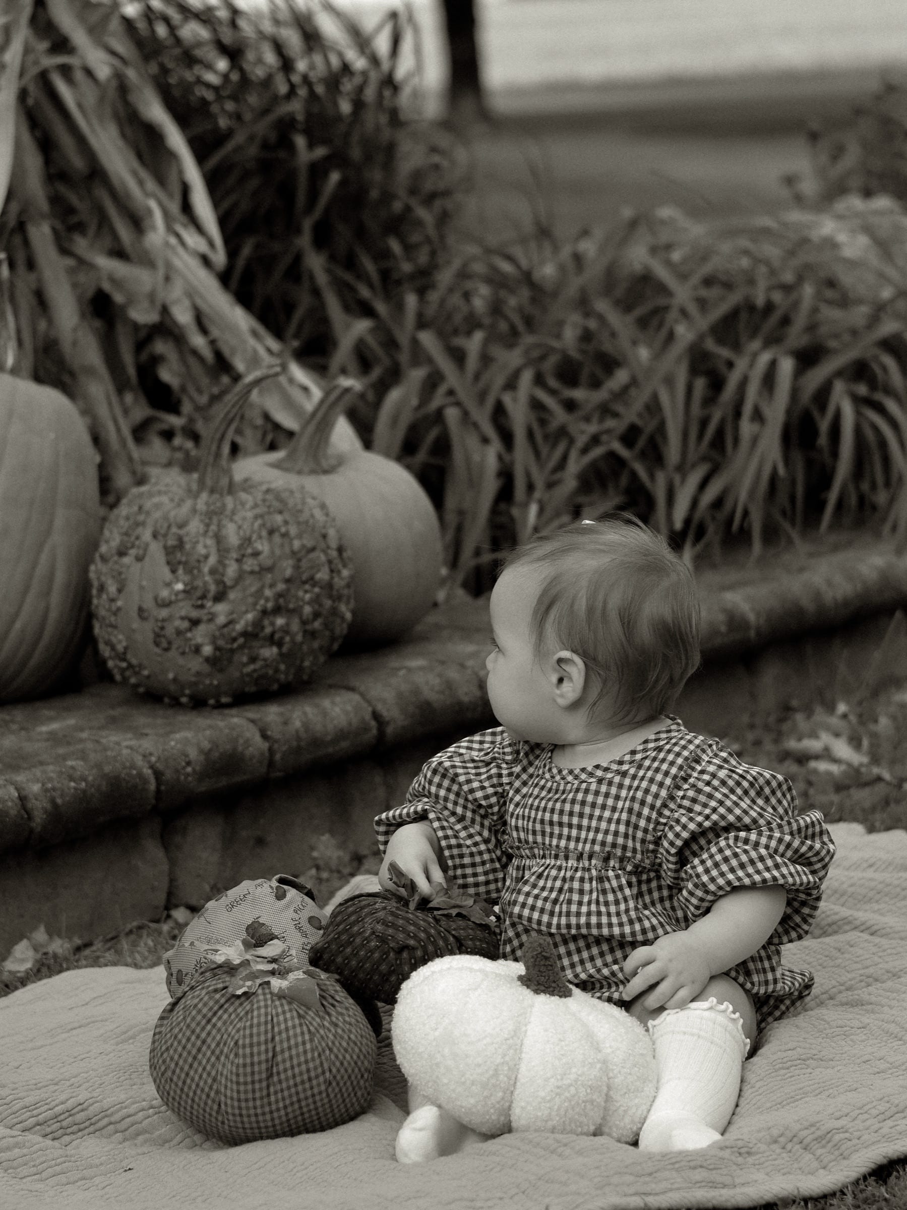 Emma, Fall Mini in Heyworth, IL (photo 12)