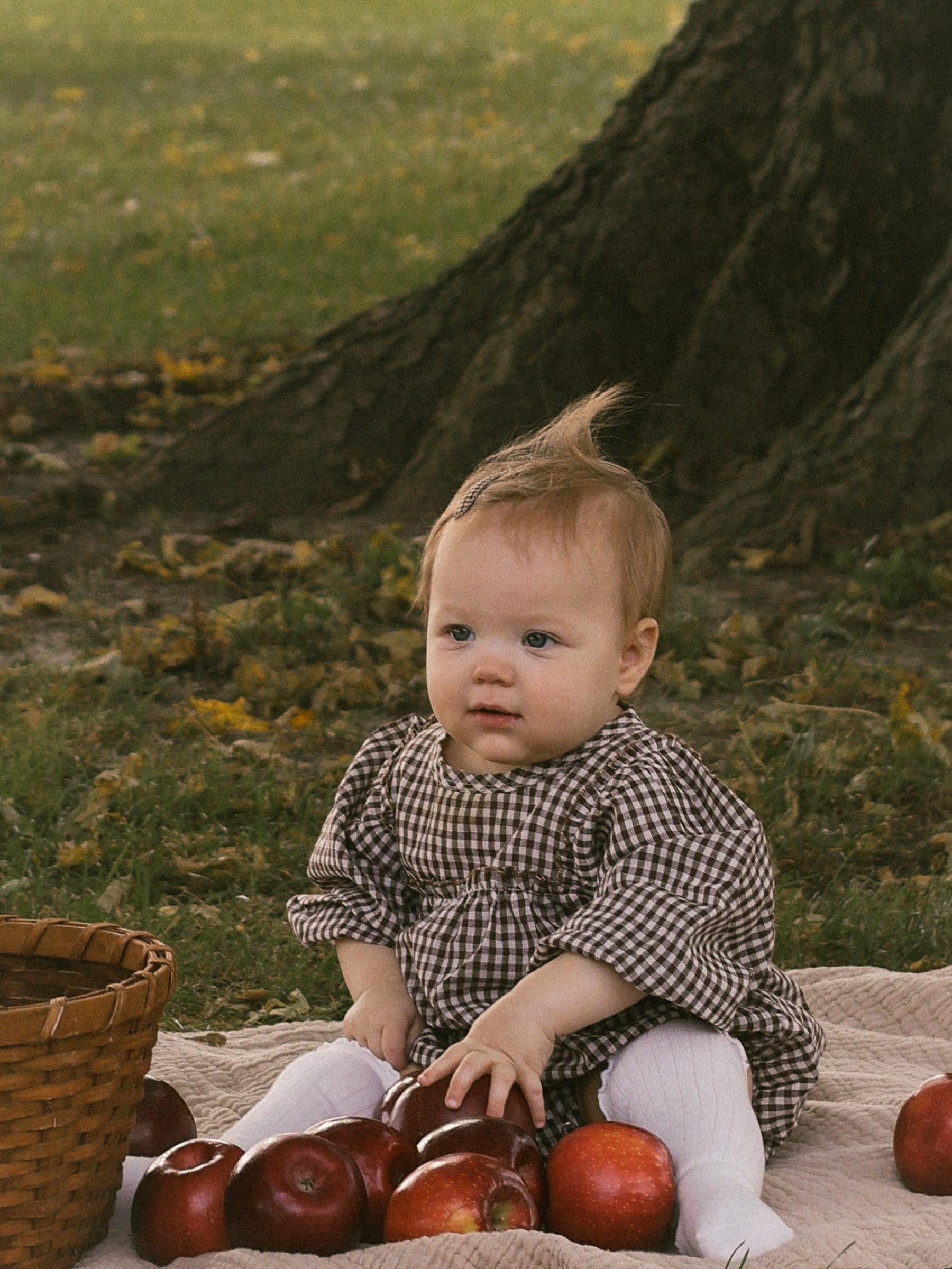 Emma, Fall Mini in Heyworth, IL (photo 14)