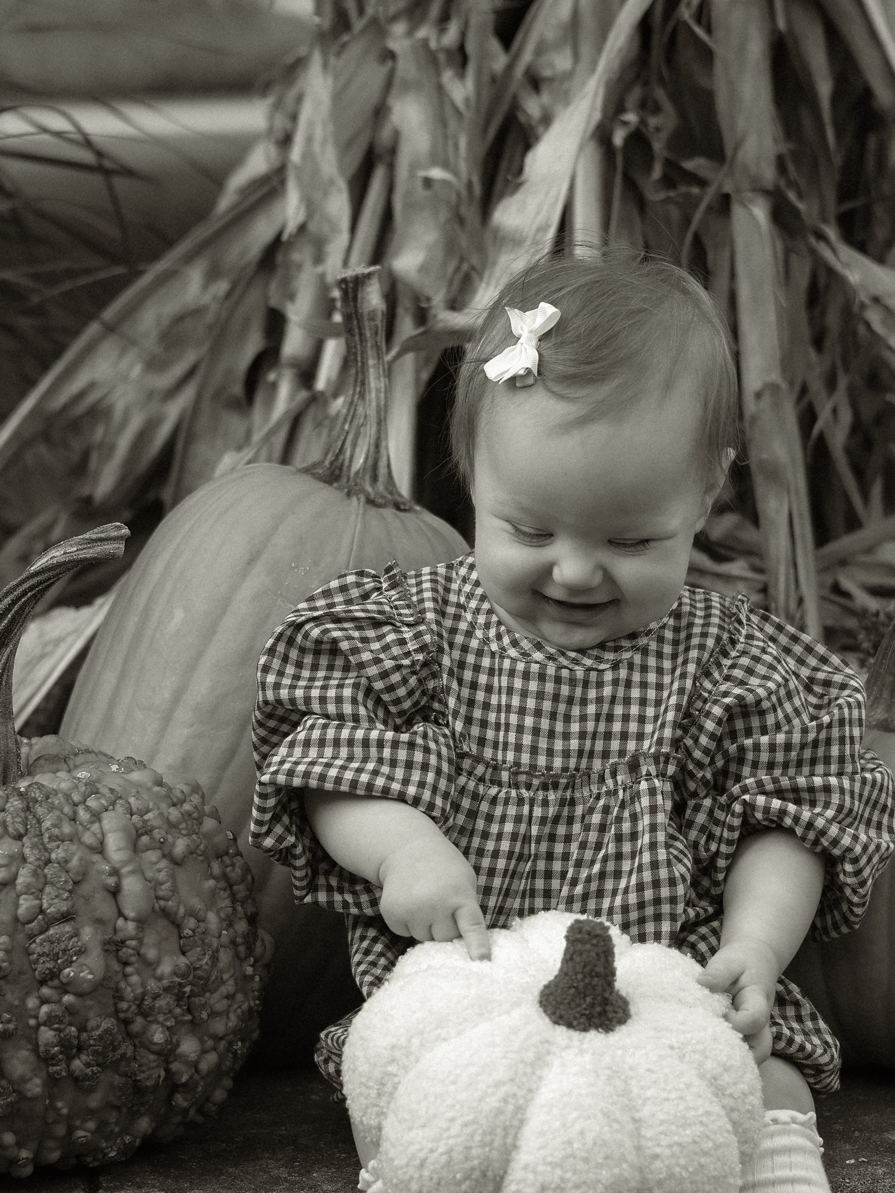 Emma, Fall Mini in Heyworth, IL (photo 7)