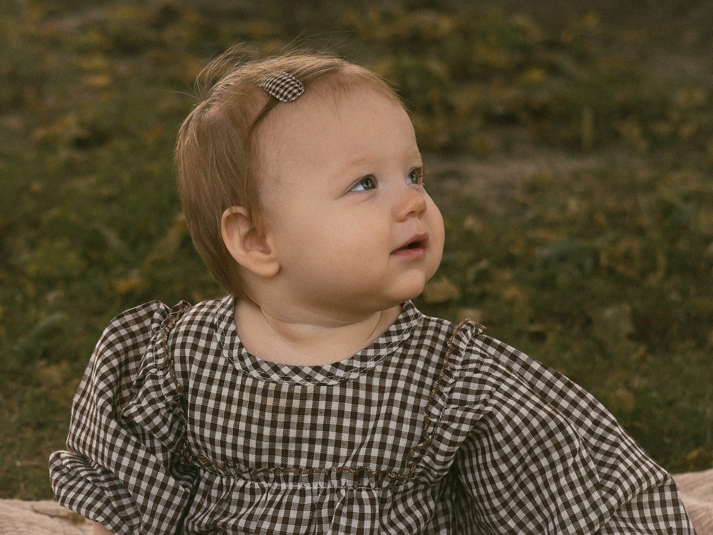 Emma, Fall Mini in Heyworth, IL (photo 13)
