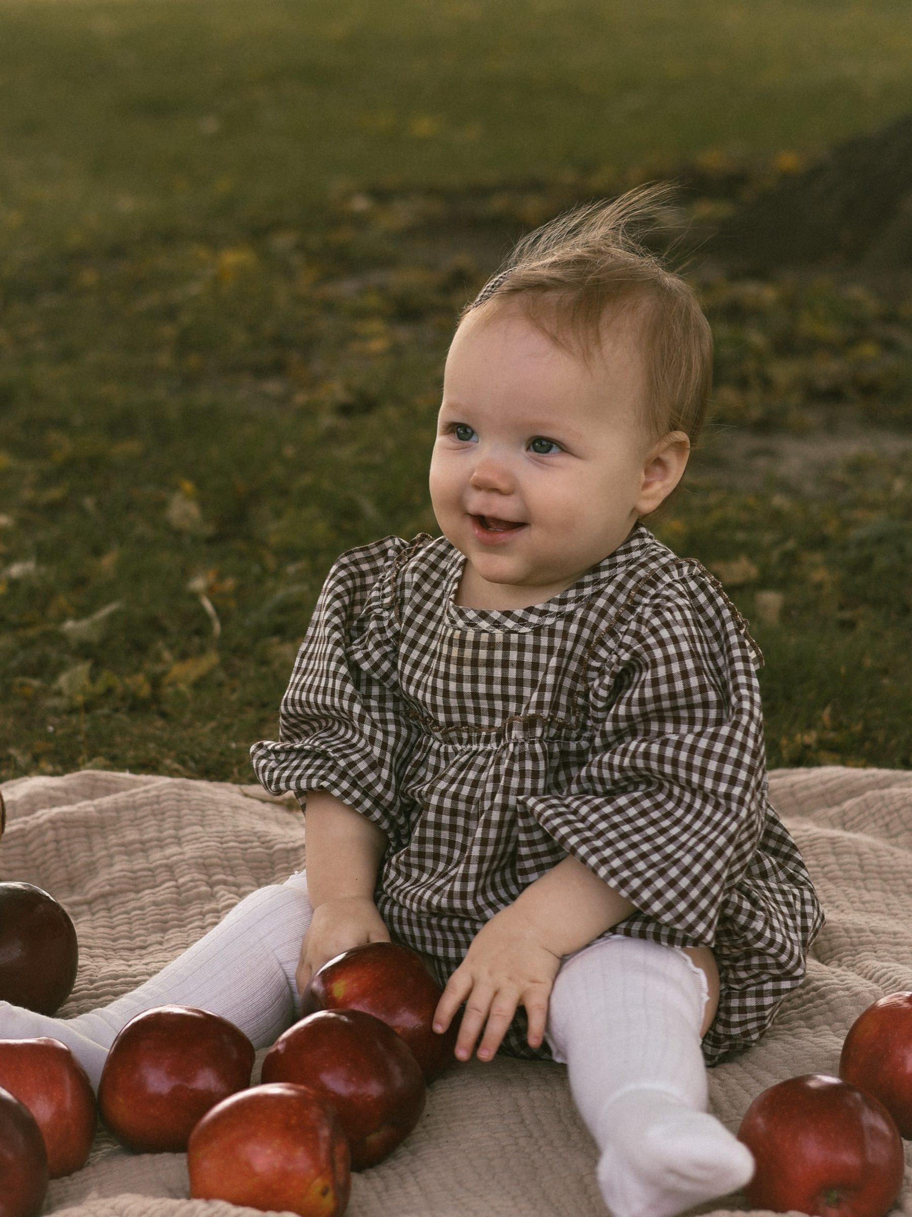 Emma, Fall Mini in Heyworth, IL (photo 11)