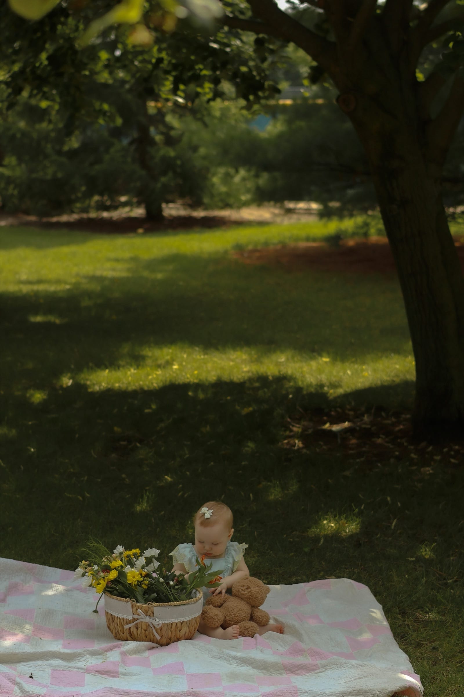 Emma, 9-Month Milestone in Bloomington, IL (photo 7)